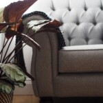 Deep Button Sofa Deep Button Sofa